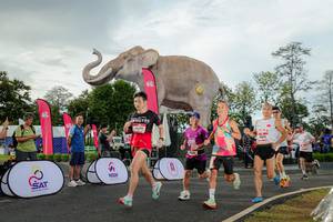 BIB: 
                            <button type="button" onclick="openModal(26528273)" class="btn btn-primary btn-sm float-right btn-popup" data-toggle="modal" data-target=".modal-high-quality">
                        <i class="fas fa-shopping-cart"></i> Add to Cart
                    </button>
                                            <button type="button" onclick="isThisMe(26528273, true)" class="btn btn-success btn-sm float-right btn-popup btn-isme hidden" data-toggle="tooltip" data-placement="bottom" title="นี่คือรูปของคุณใช่ไหม คลิกที่นี่เพื่อเอาเข้าอัลบั้ม">
                        <i class="fas fa-plus"></i> Add to album
                    </button>
                    <button type="button" onclick="isThisMe(26528273, false)" class="btn btn-warning btn-sm float-right btn-popup btn-isnotme hidden">
                        <i class="fas fa-ban"></i> Remove from album
                    </button>